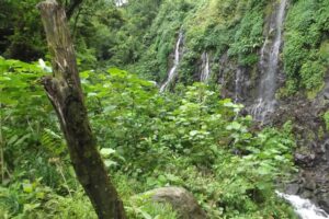 cataratas-bijagua-lodge (3)