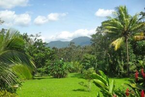 cataratas-bijagua-lodge (4)