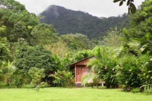cataratas-bijagua-lodge (7)