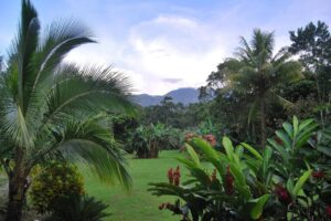 cataratas-bijagua-lodge (8)