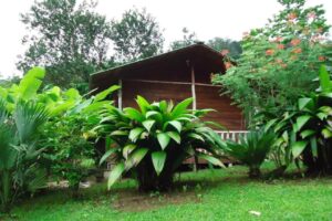 cataratas-bijagua-lodge (9)