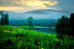 fog-3662905__340